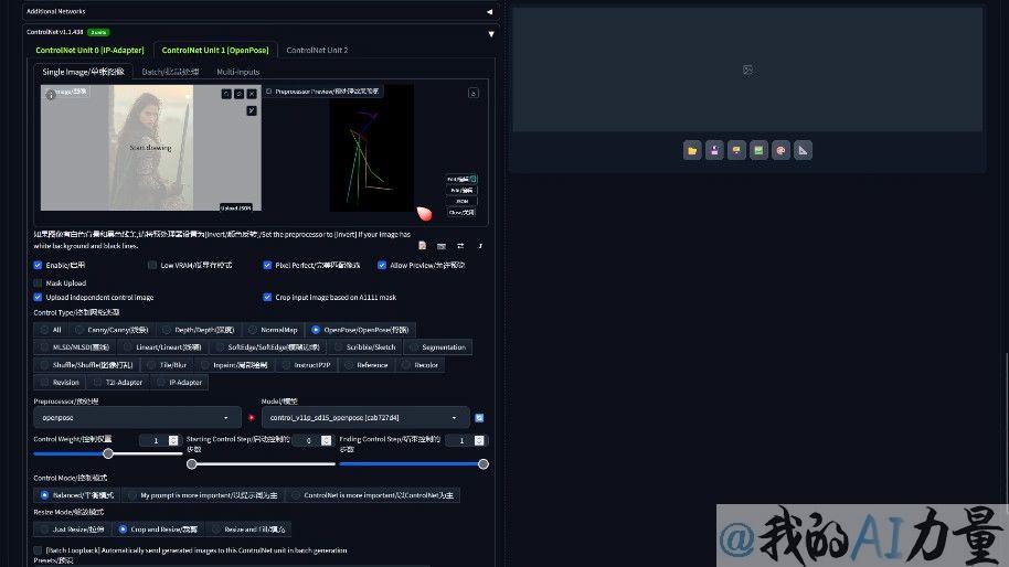 openpose settings